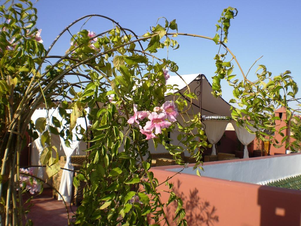 Riad Mariana Marrakesh Ngoại thất bức ảnh
