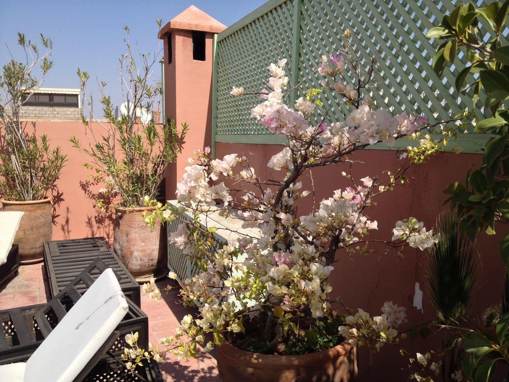 Riad Mariana Marrakesh Ngoại thất bức ảnh
