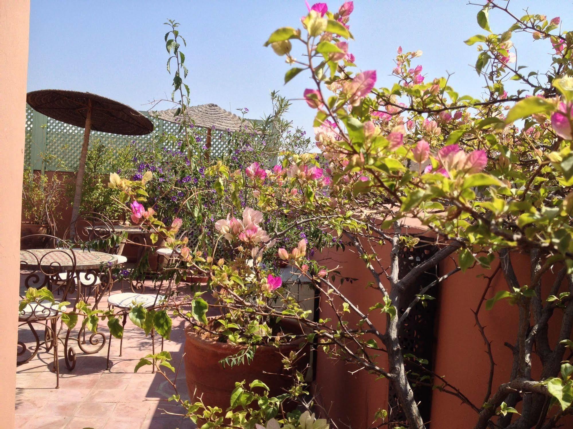 Riad Mariana Marrakesh Ngoại thất bức ảnh